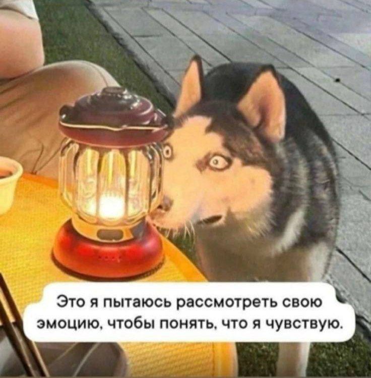 ��� ������ ���� �������: ������ ��������� ��� ������ ����������� �