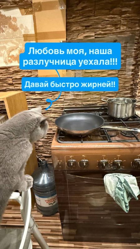 ������� �������������: ��� ����������� ������������� ������� � ��������� �����