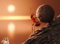 Инсайты из мира муравьев: единство и устойчивость