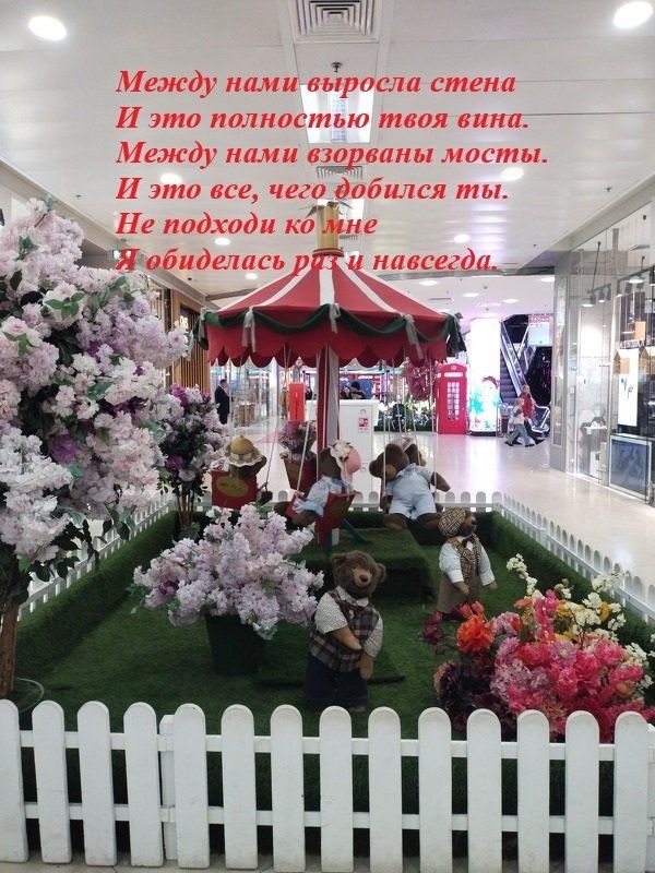 Разобраться в области обид: путь к гармонии в отношениях