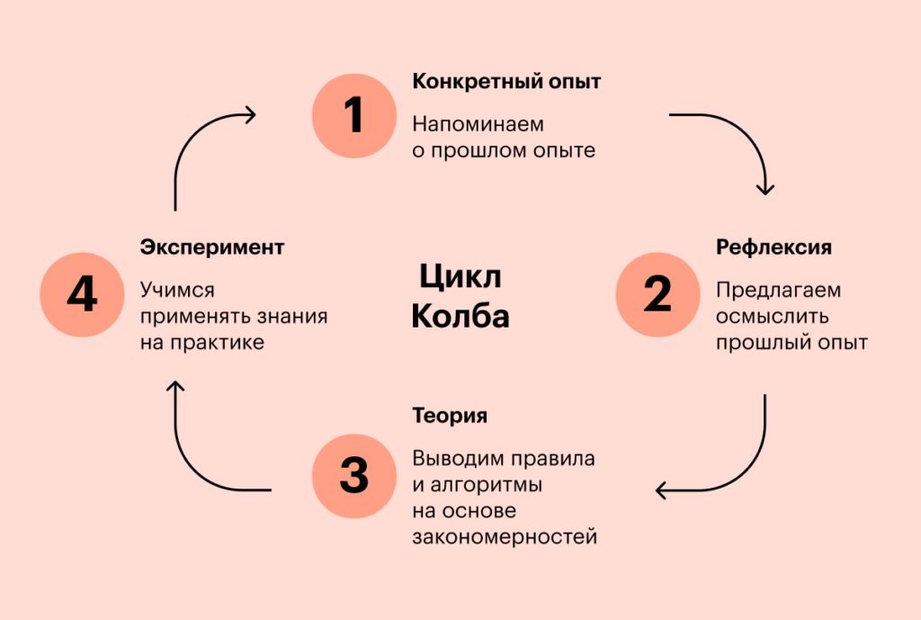 Модель Колба: путь к осознанному обучению и развитию