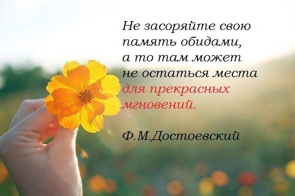 Как освободиться от обиды и перенаправить свою энергию на счастье