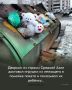 Секреты настоящего счастья: любовь и благодарность как основы нашей жизни