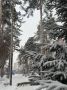 Как принимать решения в быстро меняющемся мире