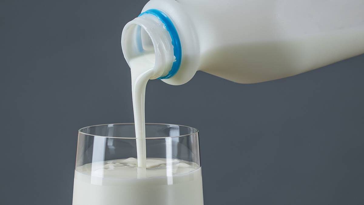 Продукты, которые могут избавить пожилых от депрессии: роль пробиотиков в поддержании психического здоровья